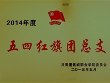 2014年度五四紅旗團(tuán)總支獎(jiǎng)