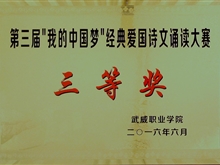 ”我的中國(guó)“夢(mèng)經(jīng)典愛(ài)國(guó)詩(shī)文誦讀大賽二等獎(jiǎng)