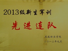 2013級新生軍訓先進連隊